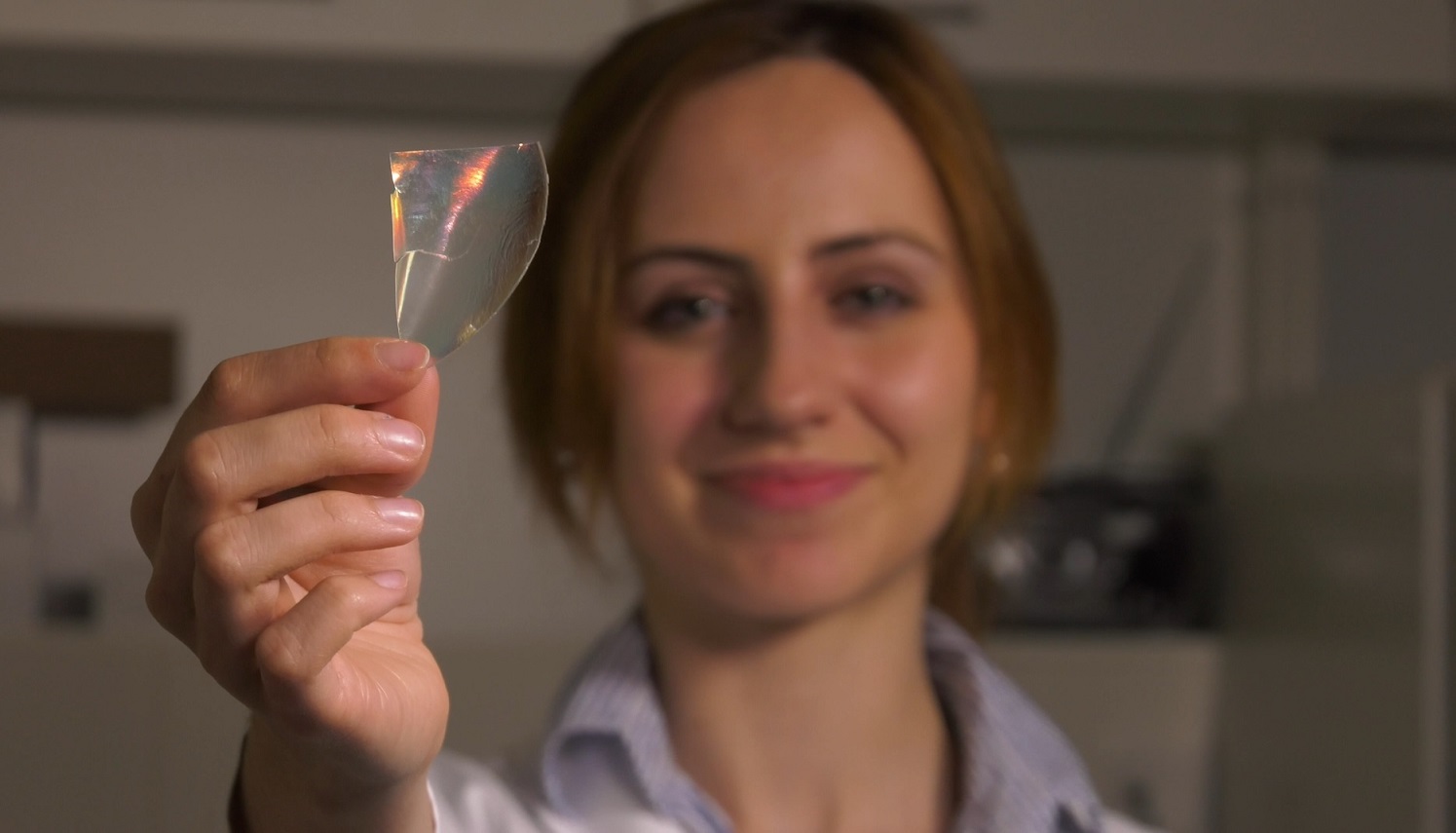 What can be made of your used toilet paper? You’ll be surprised