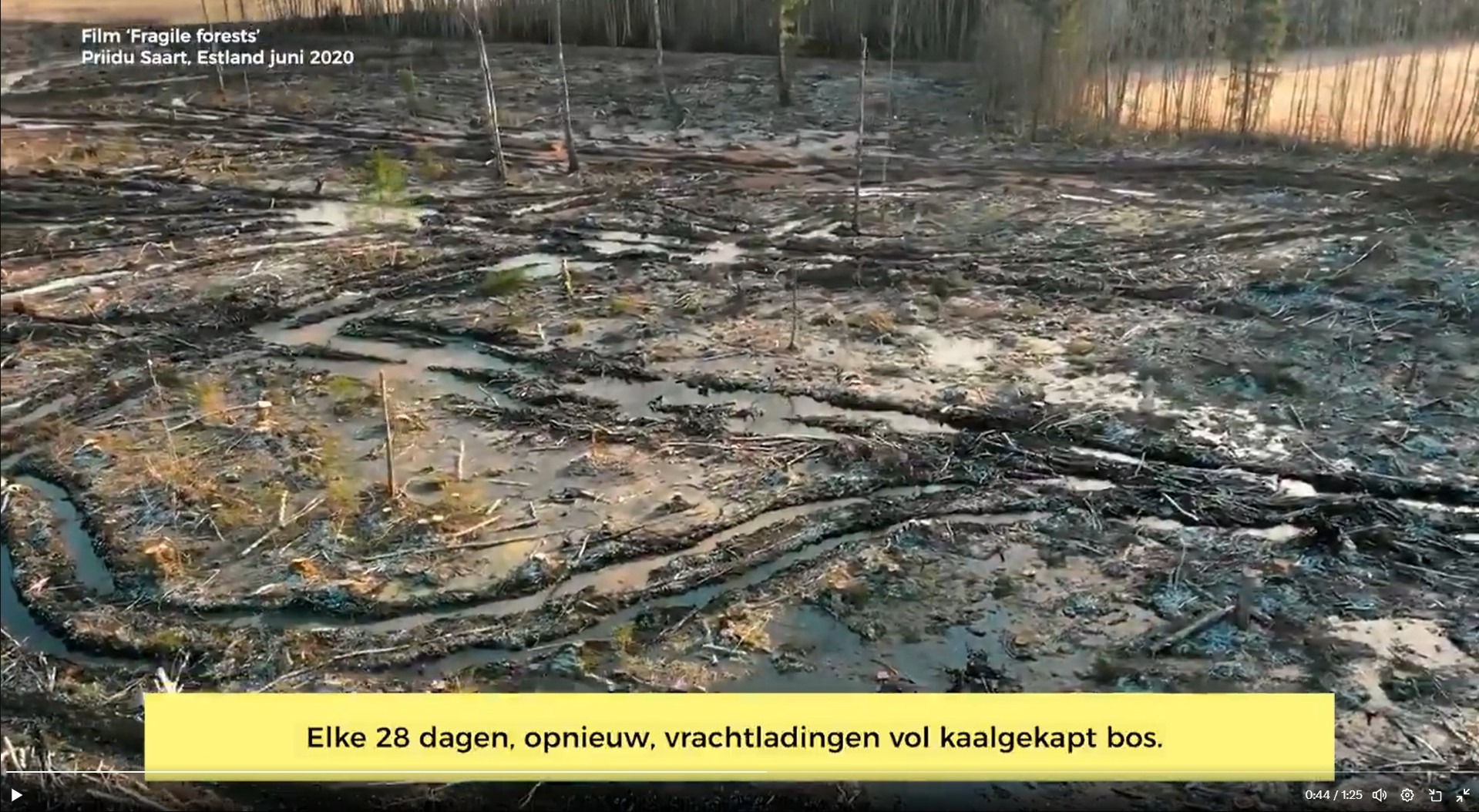 Videobeeld verwoest bos