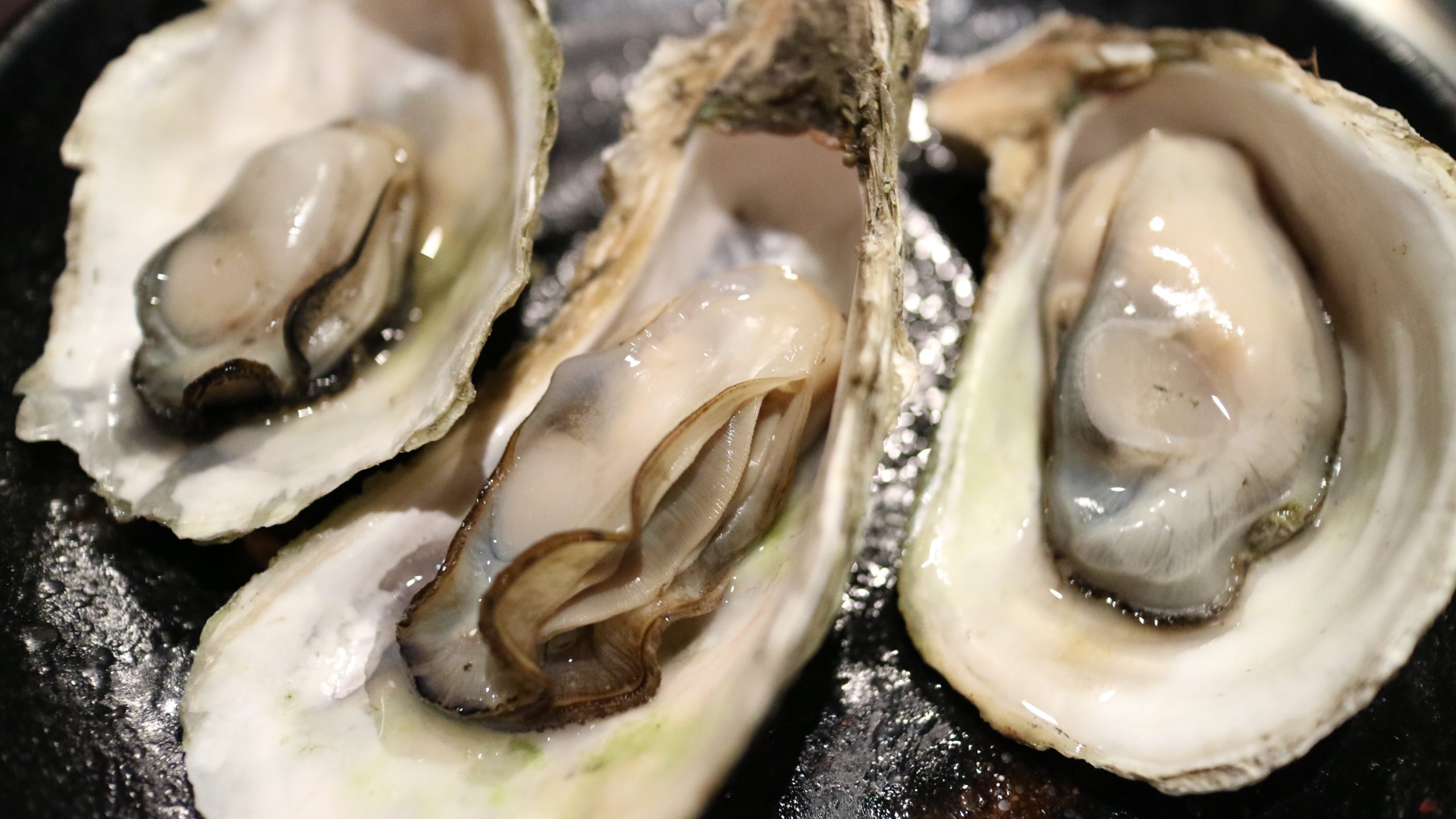 Oesters: de een vindt het een delicatesse, de ander gruwelt ervan. (Foto: Pxhere)