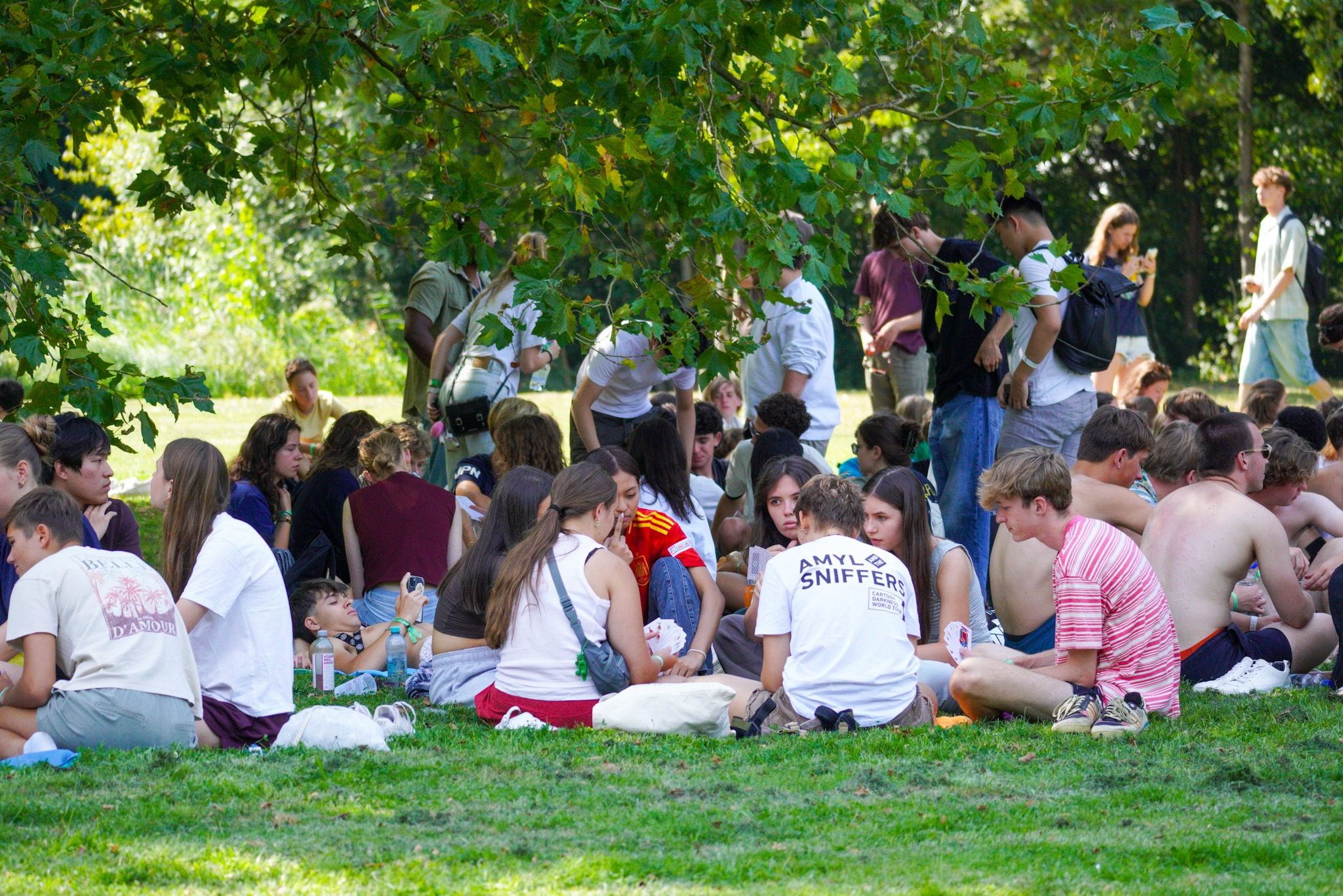 Op een grasveld onder een boom zitten enkele tientallen deelnemers aan de OWee in groepjes. Sommige kletsen, het voorste groepje speelt een kaartspel.