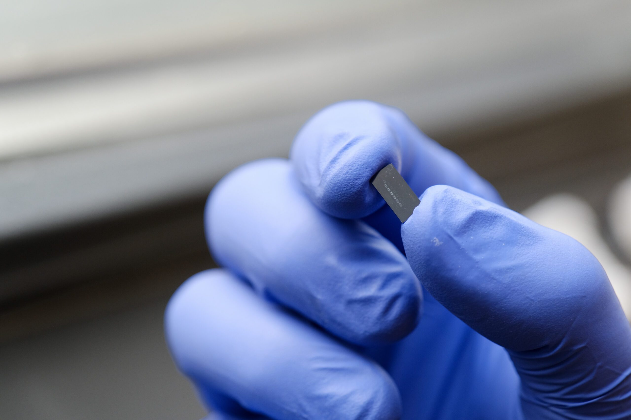 De Life Marker Chip. Fotocredit: Marije Gordijn