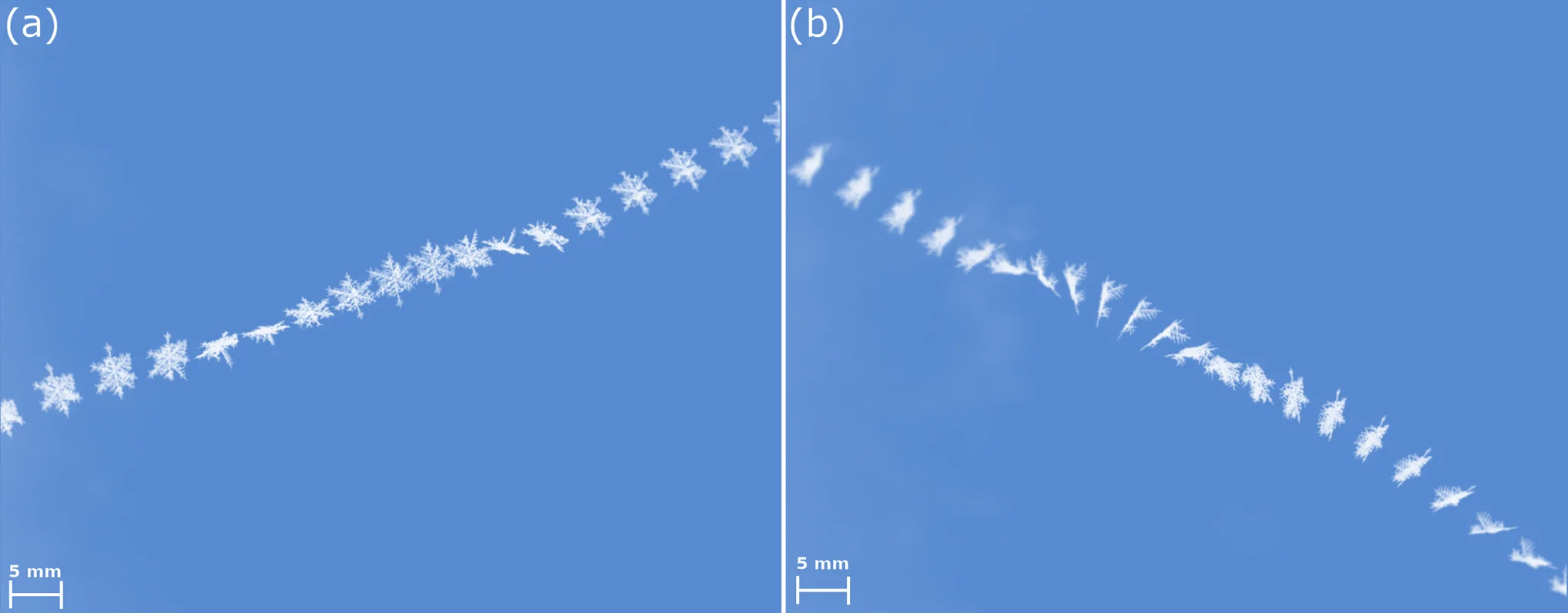 Het pad van een vallend sneeuwvlokje, van twee kanten gefotografeerd. Foto’s: Nina Maherndl, aangepast van Maahn et al. (2024) https://doi.org/10.5194/amt-17-899-2024