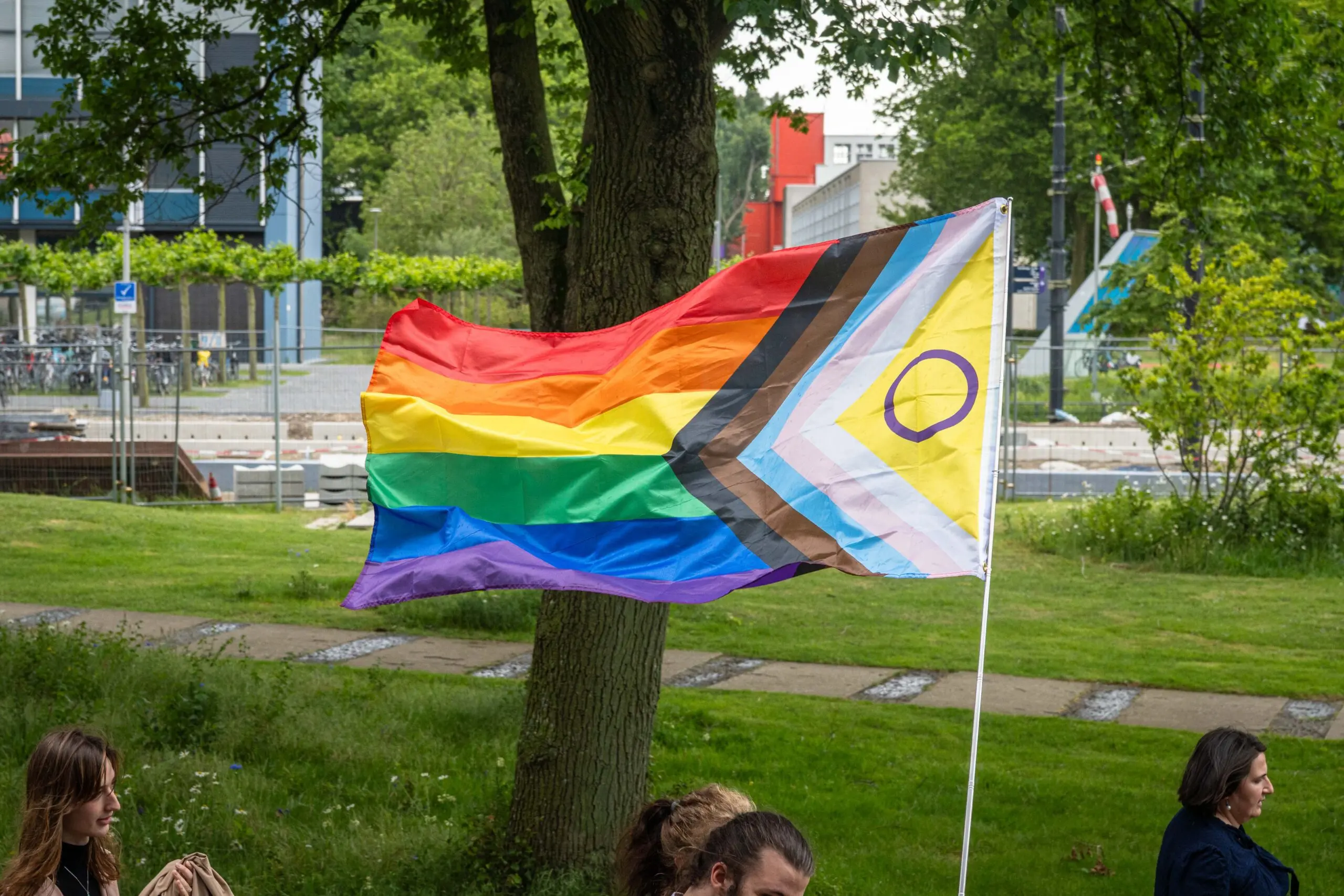 ‘Onder studenten is het nog steeds normaal om te schelden met woorden als ‘homo’ en ‘flikker’